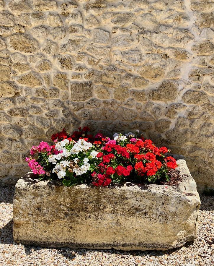 La Suite A Chateau Franc Daut Saint-Magne-de-Castillon Luaran gambar