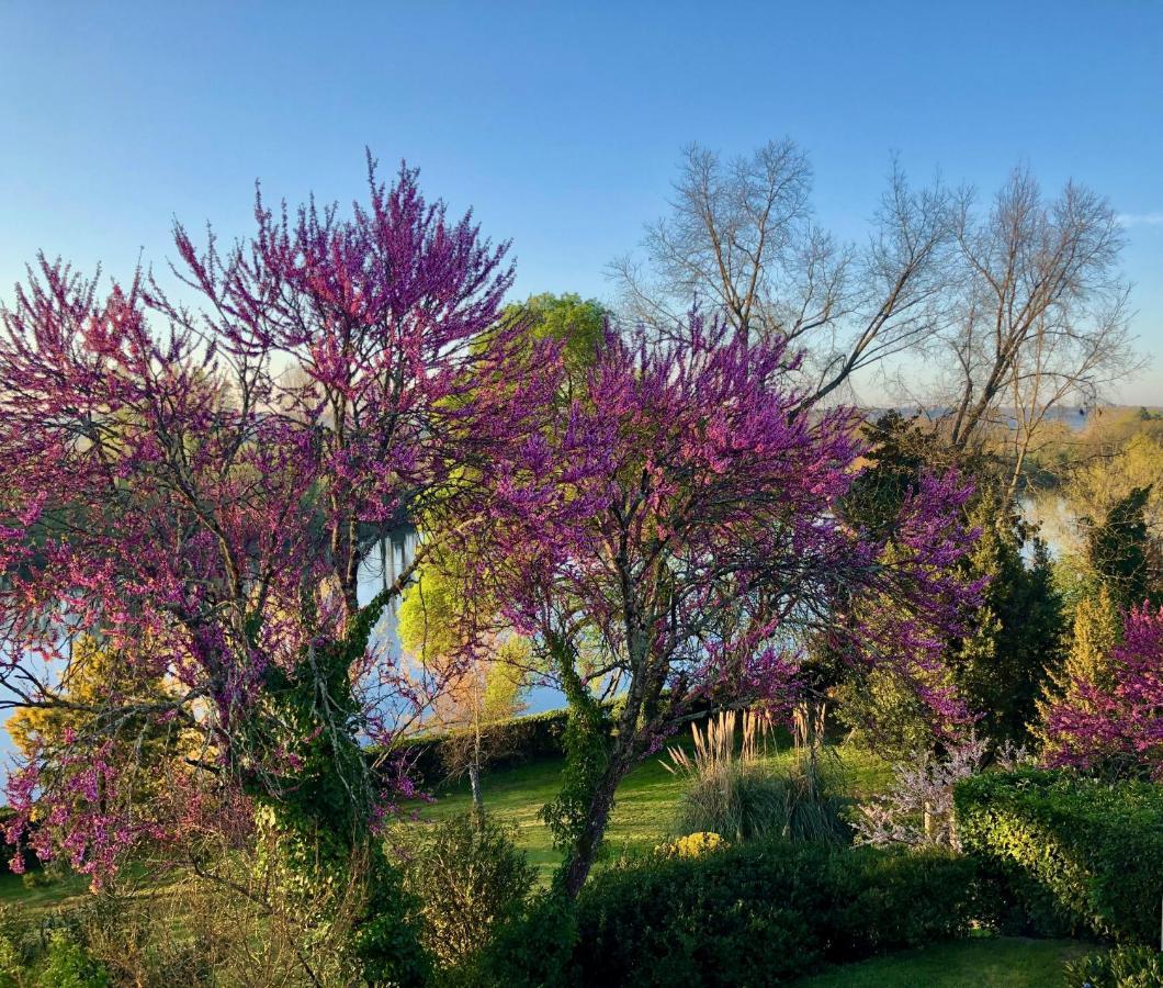 La Suite A Chateau Franc Daut Saint-Magne-de-Castillon Luaran gambar